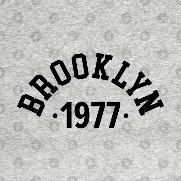 Brooklyn Chronicles: Celebrating Your Birth Year 1977 by Boogosh